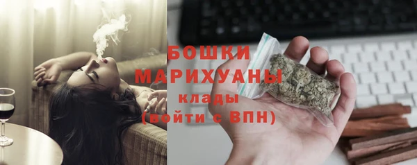 крисы Сосновка