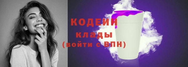 твердый Сосновый Бор