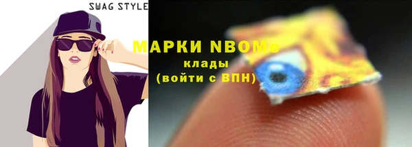 твердый Сосновый Бор